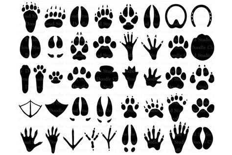 31 Animal Paws SVG, Paw Prints SVG. By Doodle Cloud Studio | TheHungryJPEG