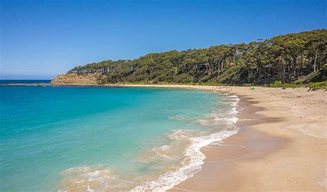 Depot Beach cabins | NSW National Parks