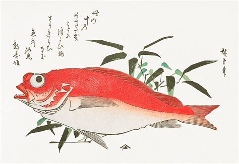 Fish Japanese Art Images | Free Photos, PNG Stickers, Wallpapers ...