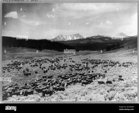 Nine Quarter Circle Ranch, Eldridge, Montana Stock Photo - Alamy