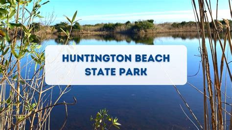 Huntington Beach State Park, SC: Things To Do - Day Trip Queen