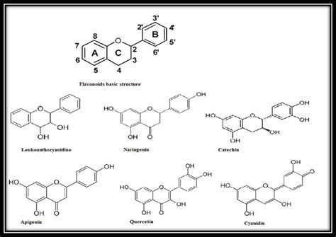 Importance of Flavonoid as Secondary Metabolites | IntechOpen