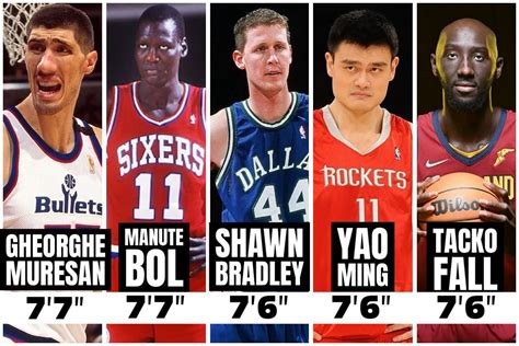 The Tallest NBA Players