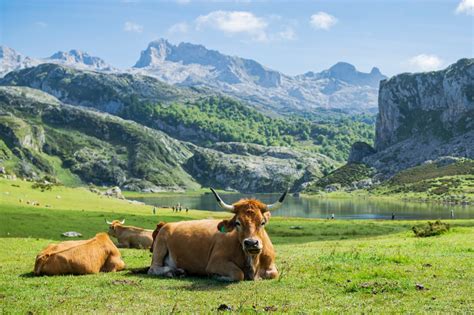 Where Is Picos De Europa National Park