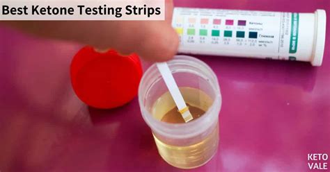 6 Best Urine & Blood Ketone Test Strips 2022 Review | KetoVale