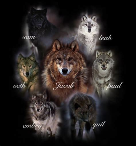 Jacob Wolf Pack