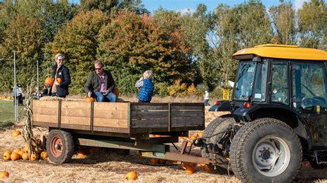 The Biggest Cotswold Pumpkin Patch | Photo Opportunities