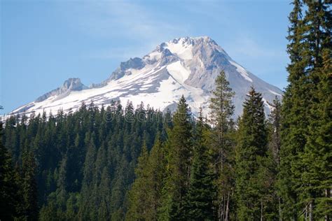 Mount Hood Mountain And National Forest Stock Photo - Image of hood ...