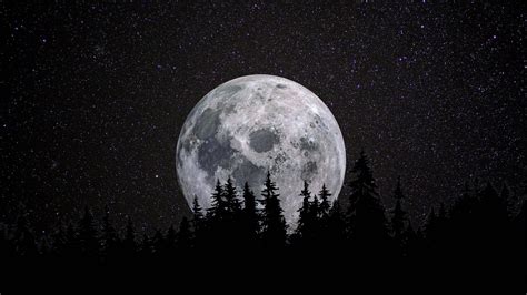 Free 4k Moon Wallpaper Downloads, [100+] 4k Moon Wallpapers for FREE ...