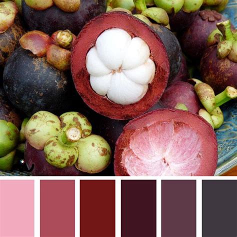 Mangostino Color Palette | Exotic fruit, Fruit, Seasonal allergies