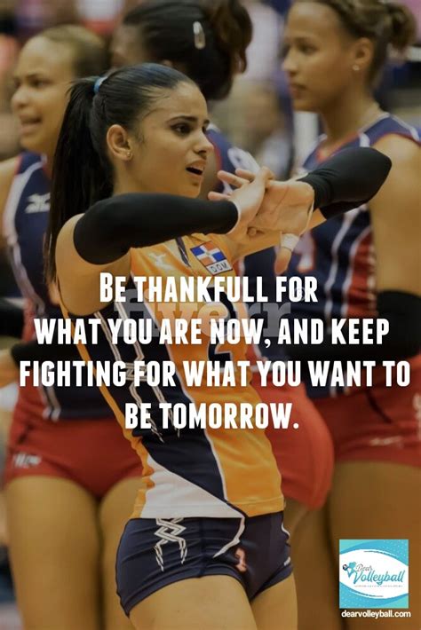 Volleyball Quotes For Teams