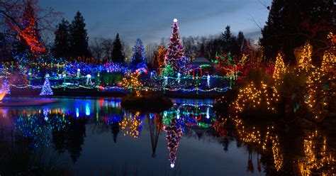 Christmas Light Shows and Displays in the U.S. – 1800Flowers Petal Talk