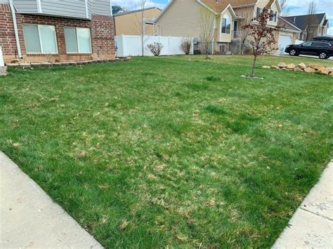 Aerate Your Lawn: How, When, Why, And The Benefits – Yard Advancement