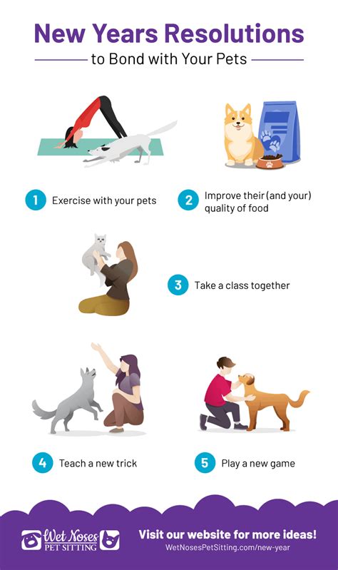 New Years Resolutions to Bond with Your Pet - Wet Noses Pet Sitting