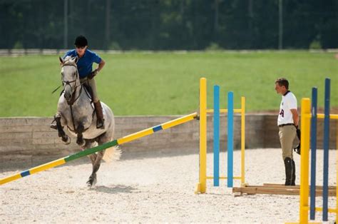 Training Exercises: Horse Training Jumping Exercises