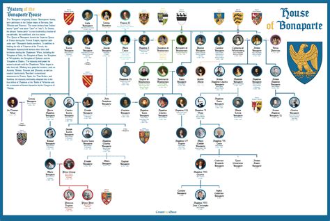 House of Bonaparte - Family Tree : r/UsefulCharts