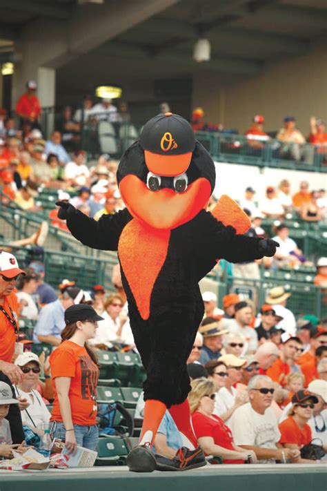 Inside Spring Training with the Baltimore Orioles Mascot | Sarasota ...