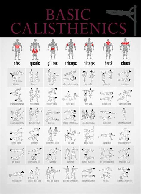 Basic Calisthenics | Workout chart, Body workout plan, Bodyweight workout