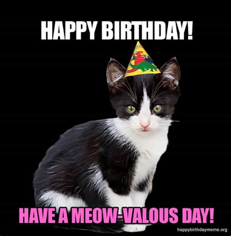 31 Funniest Cat Birthday Meme - Birthday Meme