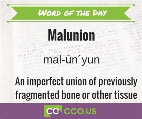 Malunion- An imperfect union of previously fragmented bone or other ...