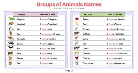 All Animals Names