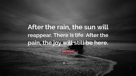 Top 40 Rain Quotes (2025 Update) - QuoteFancy