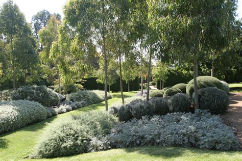 A well designed Native Australian garden - Kilby Park Tree Farm