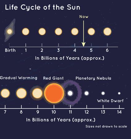 Model the Lifespan of the Sun and the Role of Nuclear Fusion in the Sun ...