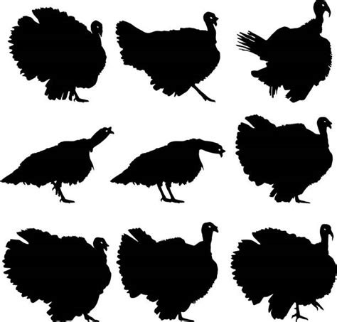 Silhouette Of The Turkey Feathers Illustrations, Royalty-Free Vector ...