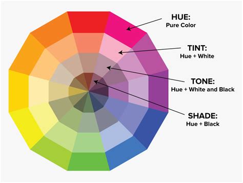 Color Wheel Hue Tint Tone Shade, HD Png Download , Transparent Png ...