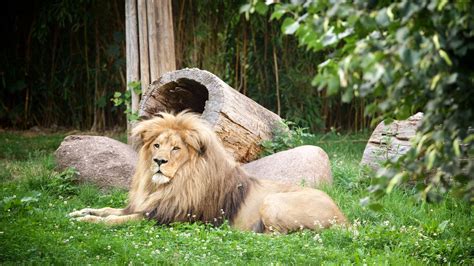 Leipzig Zoo, Leipzig, Germany - Heroes Of Adventure