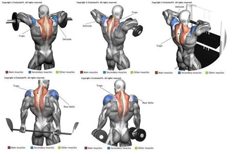 Trapezius Training Traps Workout Shoulder Workout