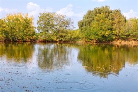 Fishing place on lake stock photo. Image of reflection - 246870140