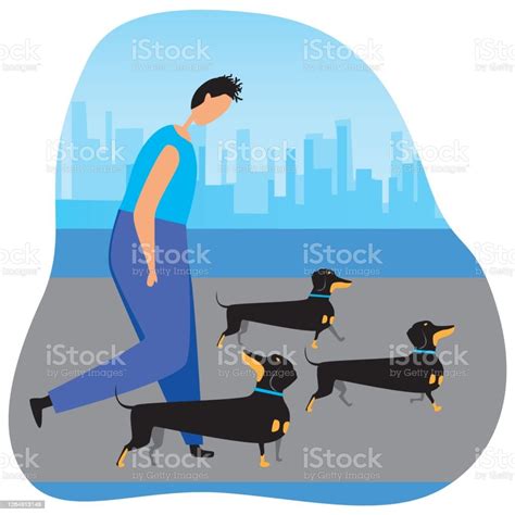 Guy Walking The Dogs As A Dog Breeding Concept Flat Vector Stock