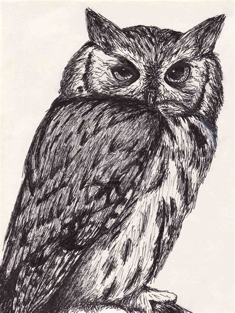 Pen And Ink Animal Drawings at PaintingValley.com | Explore collection ...