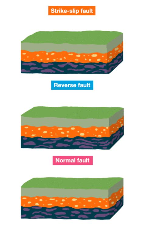 Causes Of Earthquakes Diagram