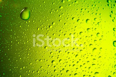 Ice Cold Beer Bottle Stock Photo | Royalty-Free | FreeImages