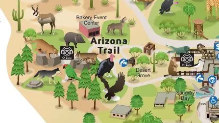 Arizona Trail Wildlife Habitats | Phoenix Zoo