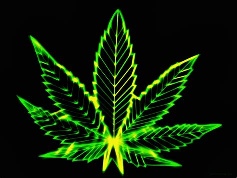 Awesome Pot Leaf Wallpaper - WallpaperSafari