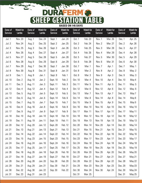 Sheep Gestation Calculator - DuraFerm