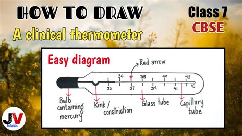 easy diagram of clinical thermometer|how to draw clinical thermometer ...