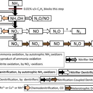 2: Nitrous Oxide production pathways(Zhu et al 2013) | Download ...