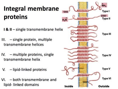 Integral Membrane Proteins