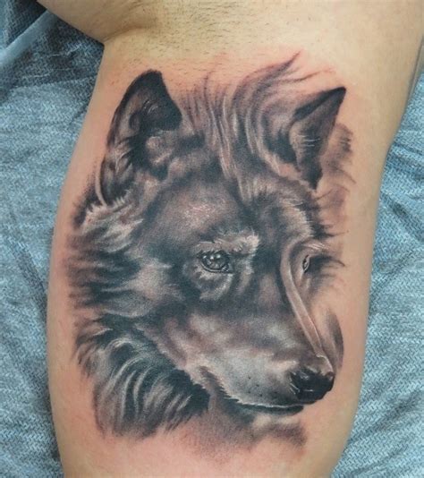 Realistic gray wolf face tattoo- on inner muscles - Tattooimages.biz