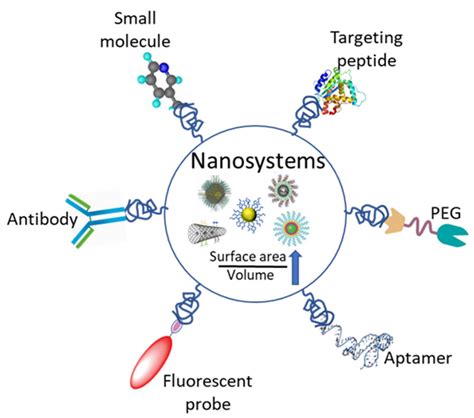 Nanomaterials | Free Full-Text | Nanotechnology-Based Diagnostics for ...