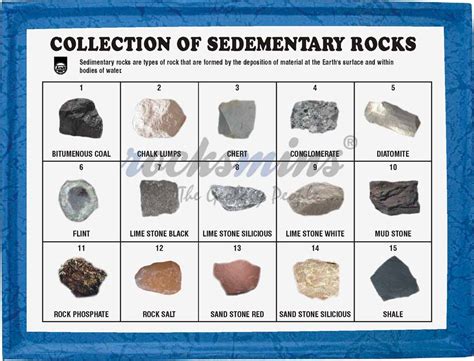 Collection of 15 Sedimentary Rocks Kit Rocksmins