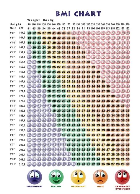 BMI chart - BMI chart