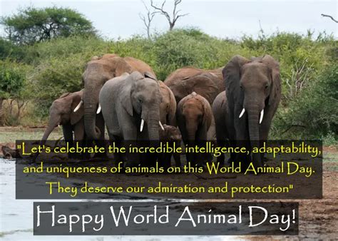 World Animal Day Quotes In English