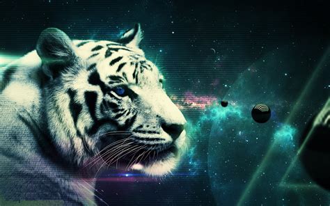 🔥 [71+] White Tiger Wallpapers Hd | WallpaperSafari