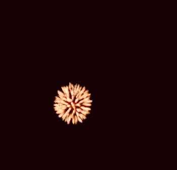 Fireworks Explosion GIF - Fireworks Explosion Show - Discover & Share GIFs